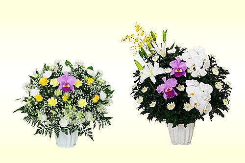 供花・供物