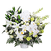 生花